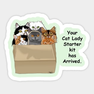 Cat Lady Starter Kit Sticker